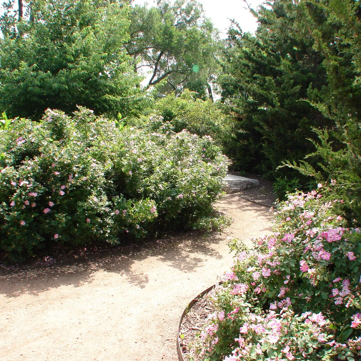 path in Chicago's Portage Park