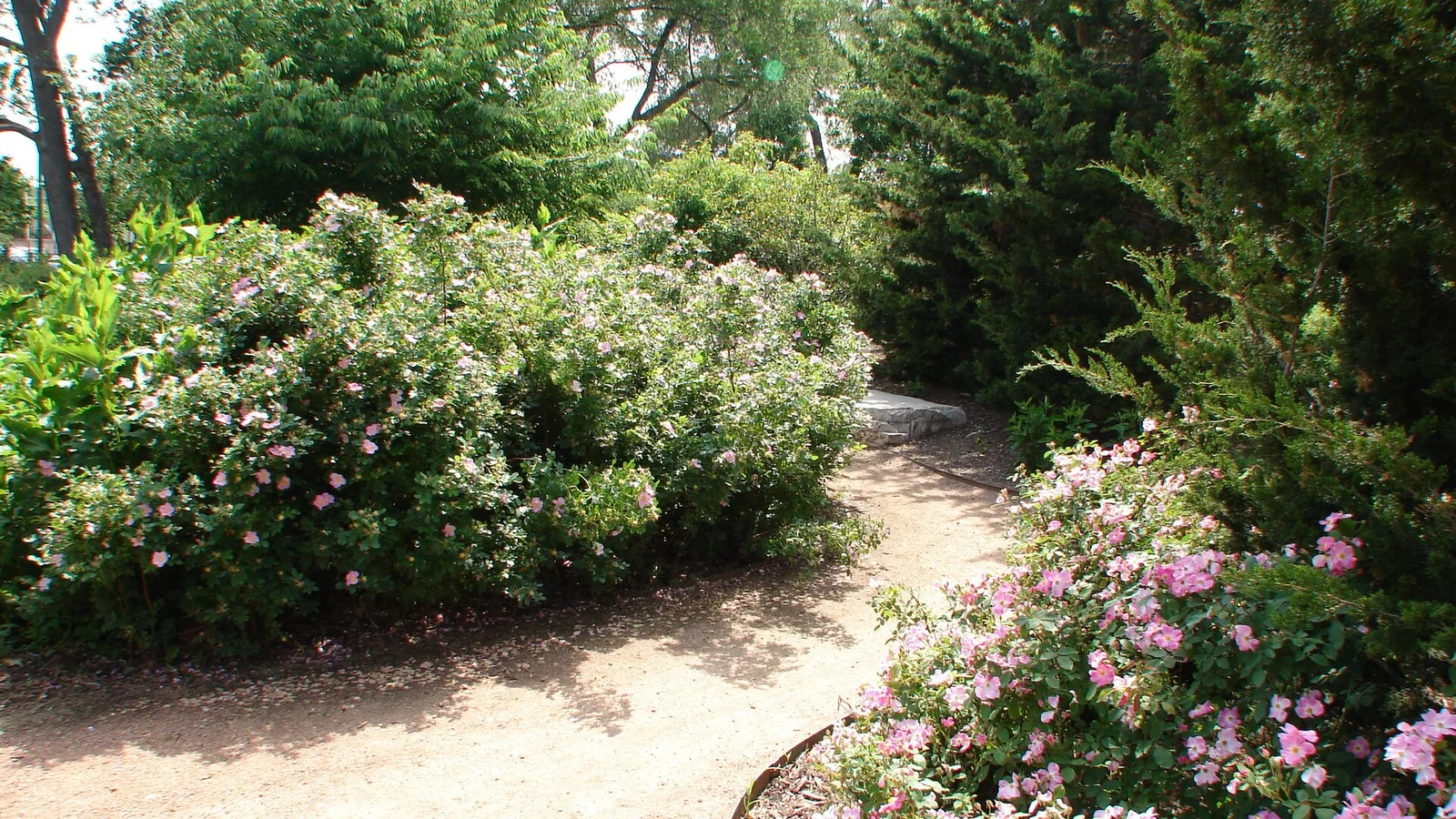 path in Chicago's Portage Park